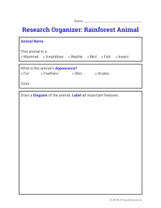 organizerrainforestanimalresearch