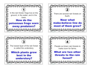 task-cards-world-book-online-rain-forest
